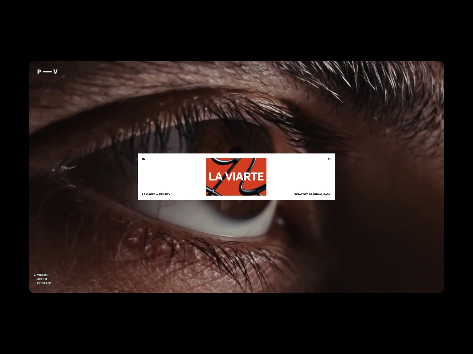 Paolo Vendramini — Projects