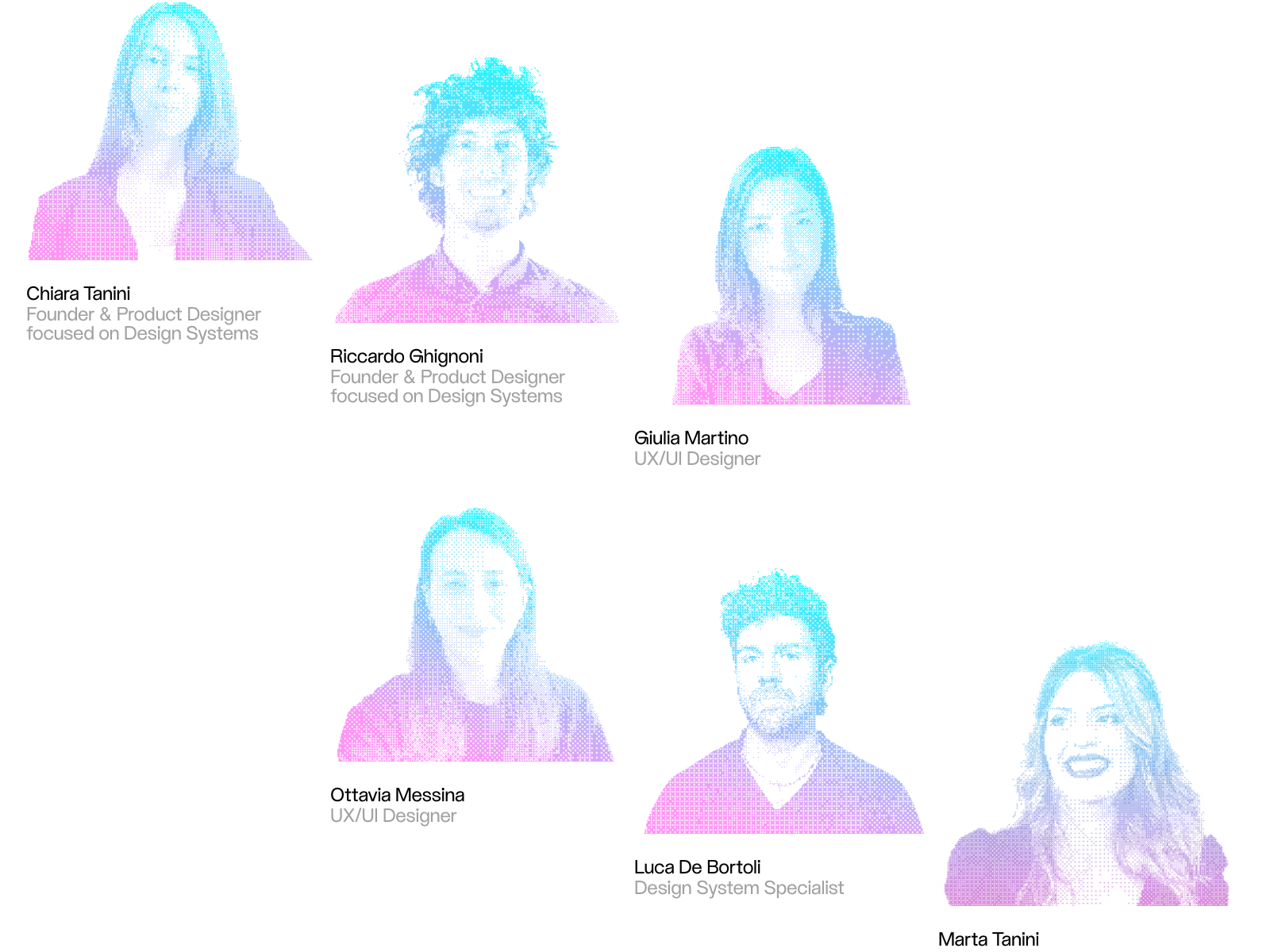 Services, Portfolio, and Team