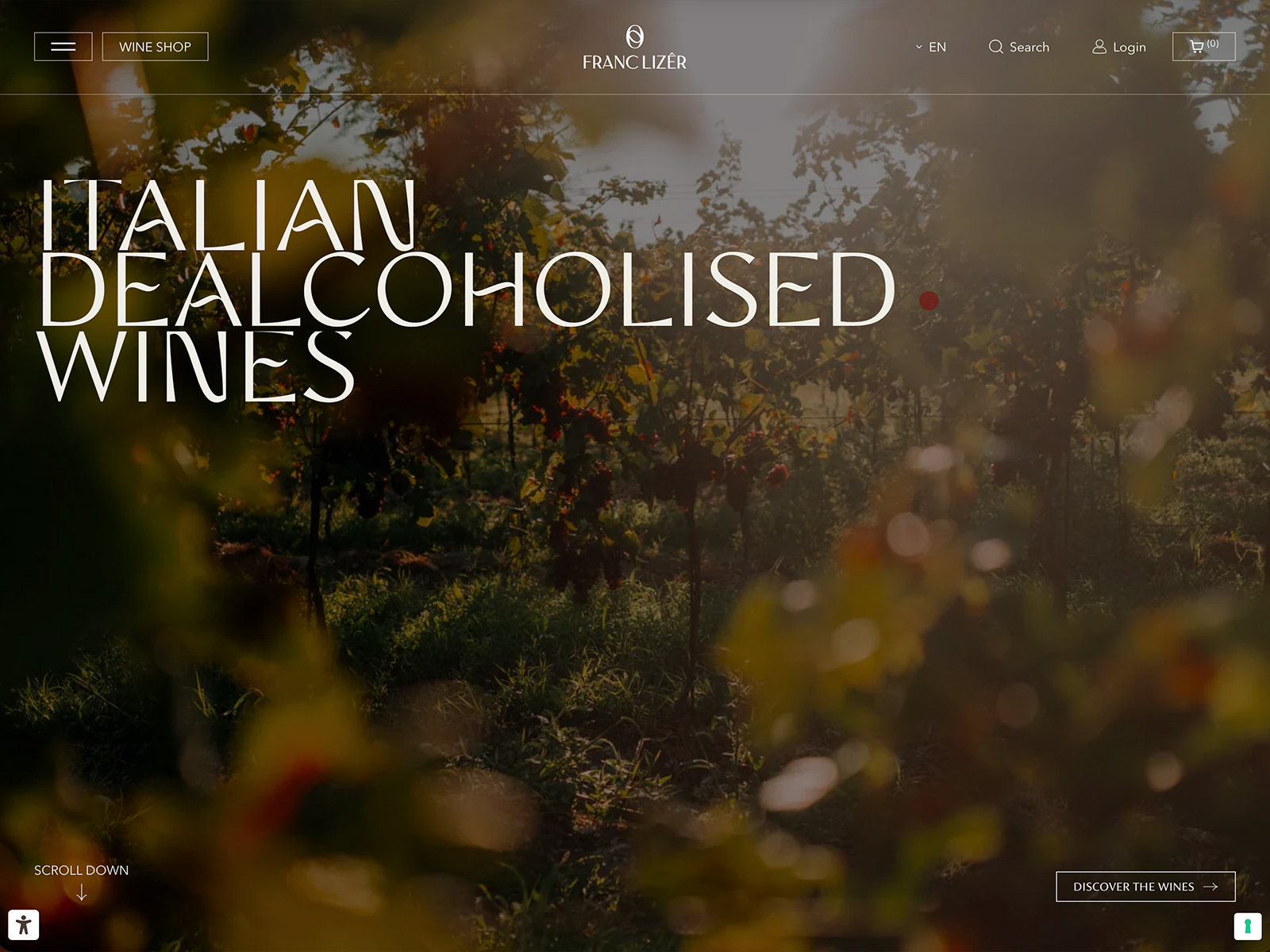 FRANC LIZÊR - Header