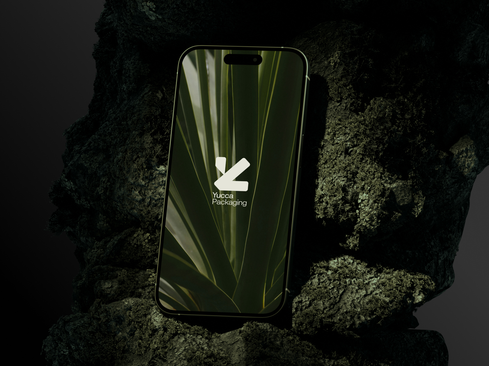 Logo Design & Brand - Yucca Packaging