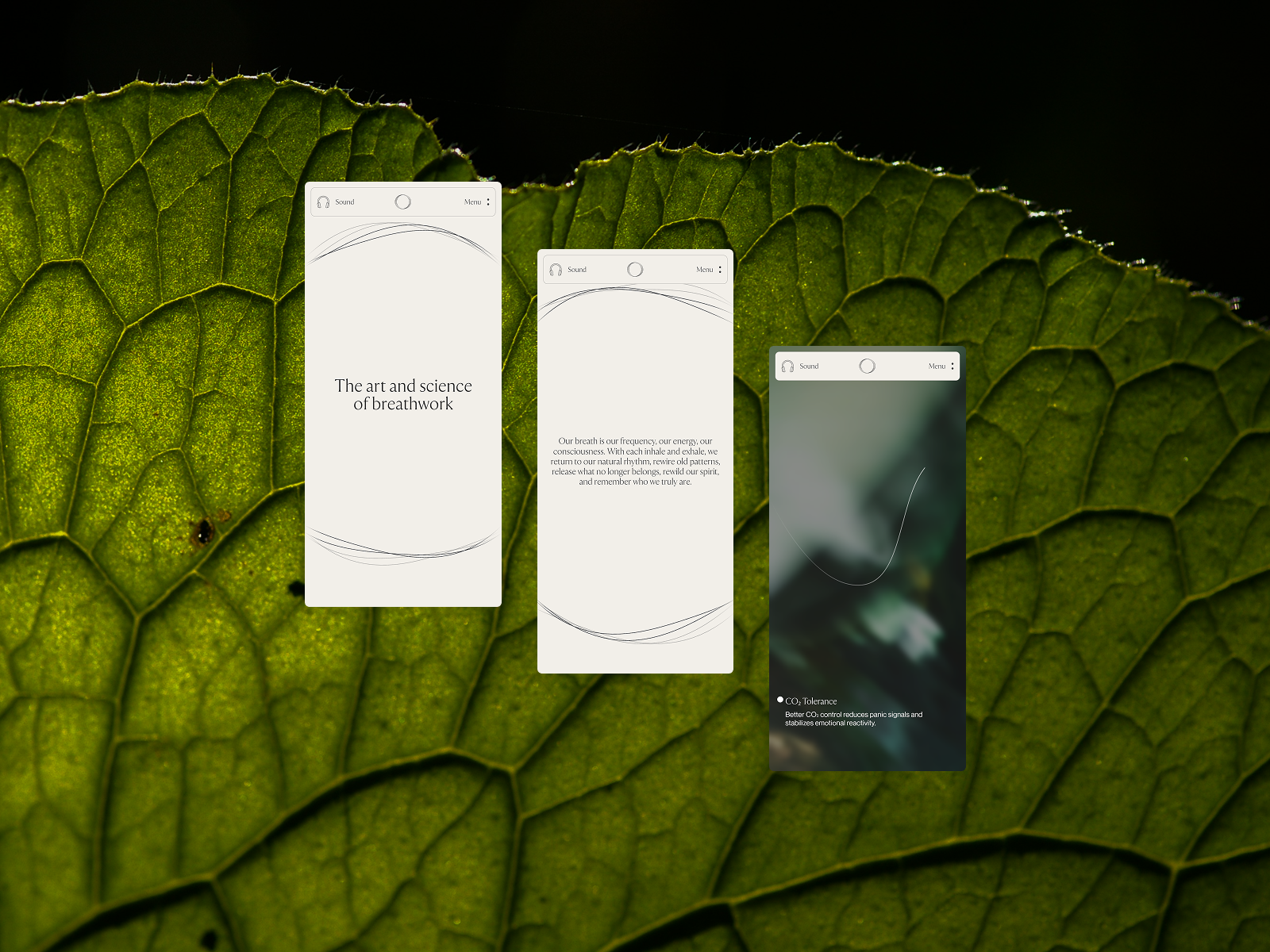 Home (Interaction, ThreeJS, Scroll)