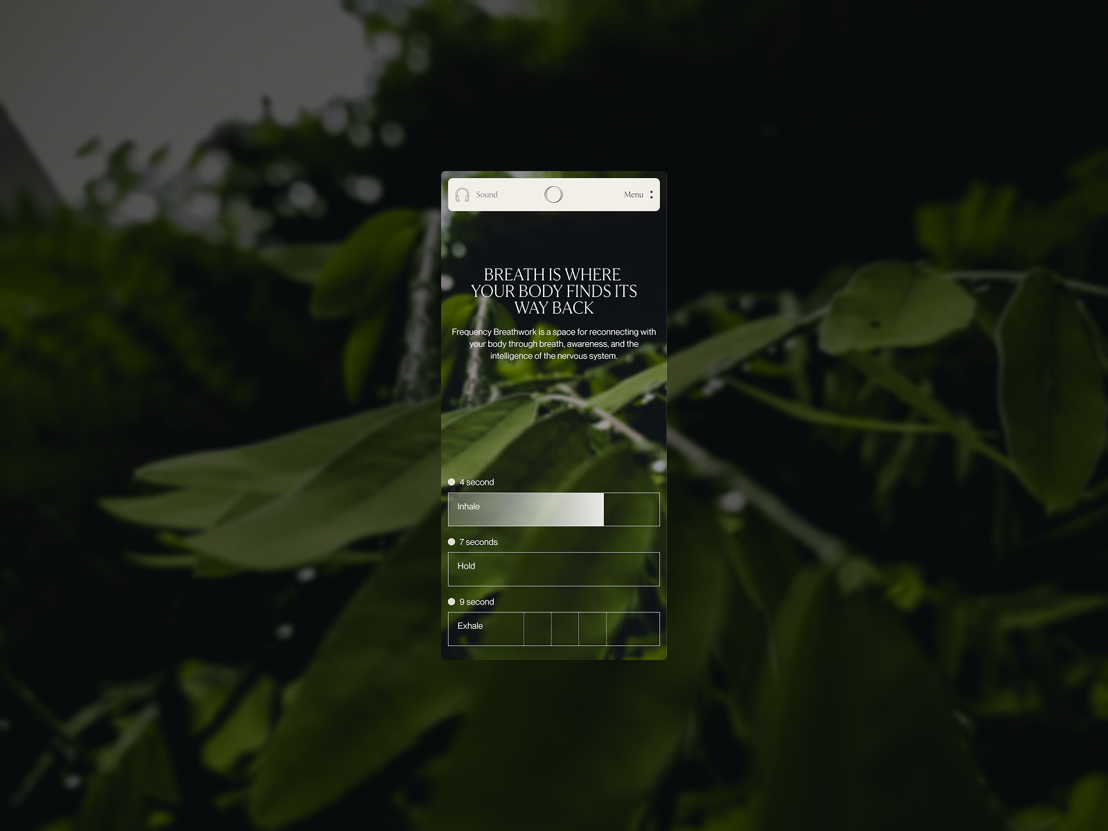 About (Scroll & Interaction)