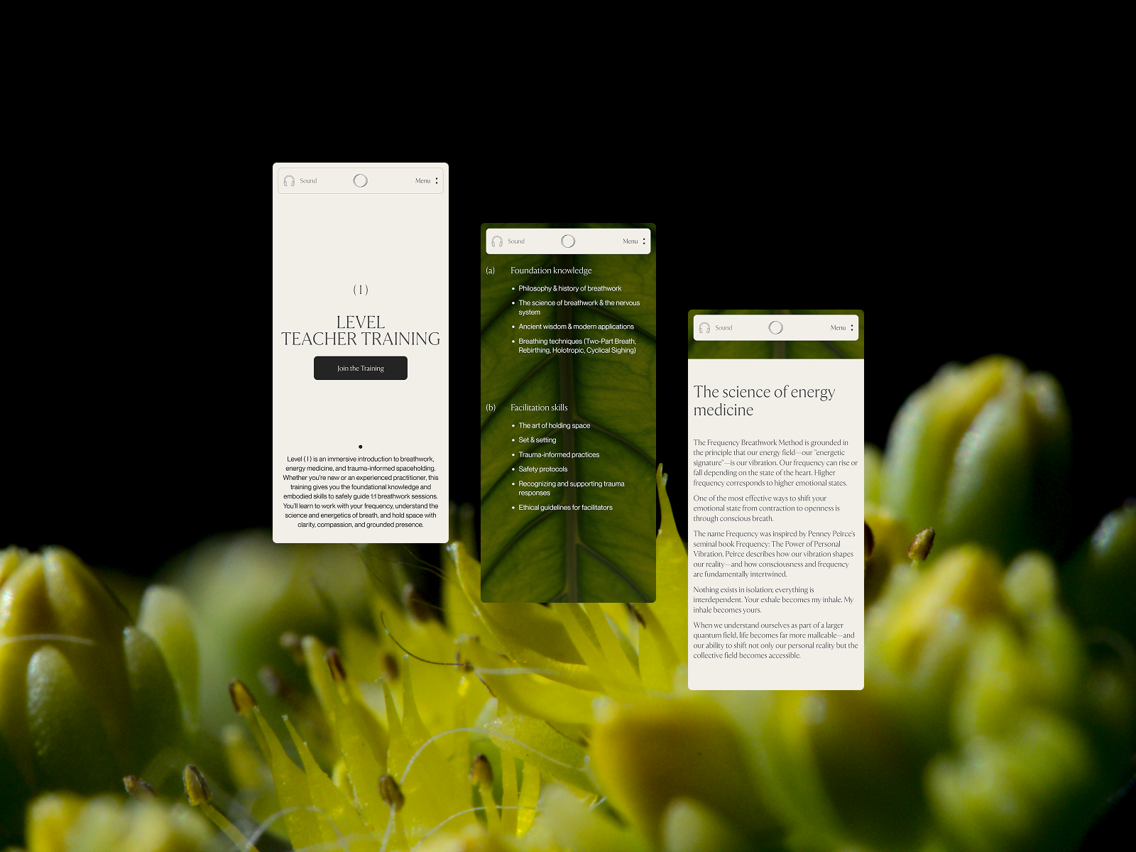 Teacher Training Level ( I )