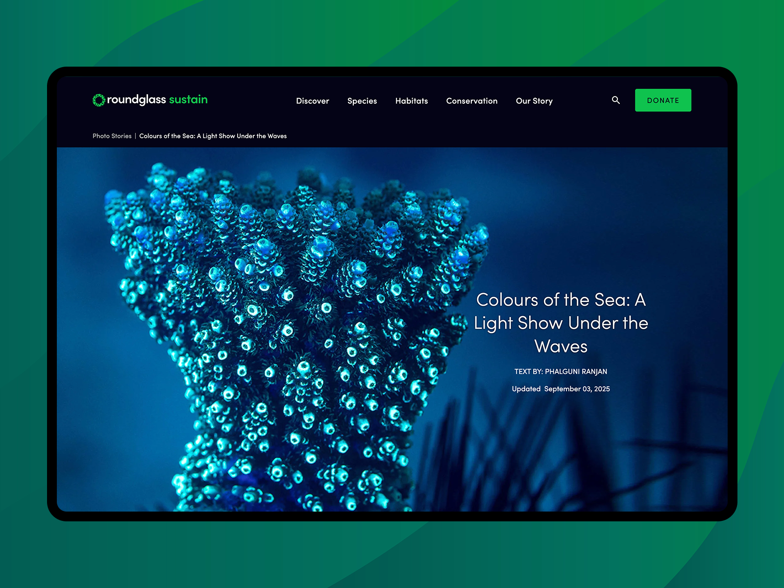 Colours of the Sea: A Light Show Under the...