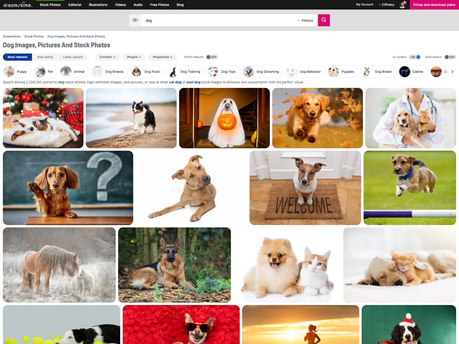 Stock photo search results page