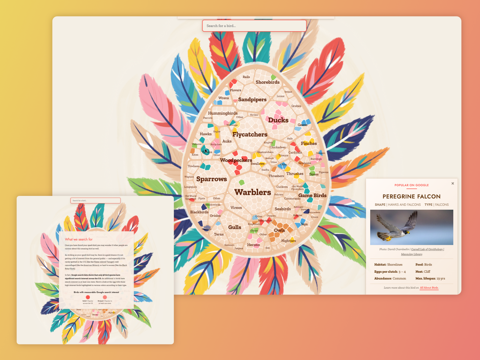 Interactive Data Visualization & Scrollytelling