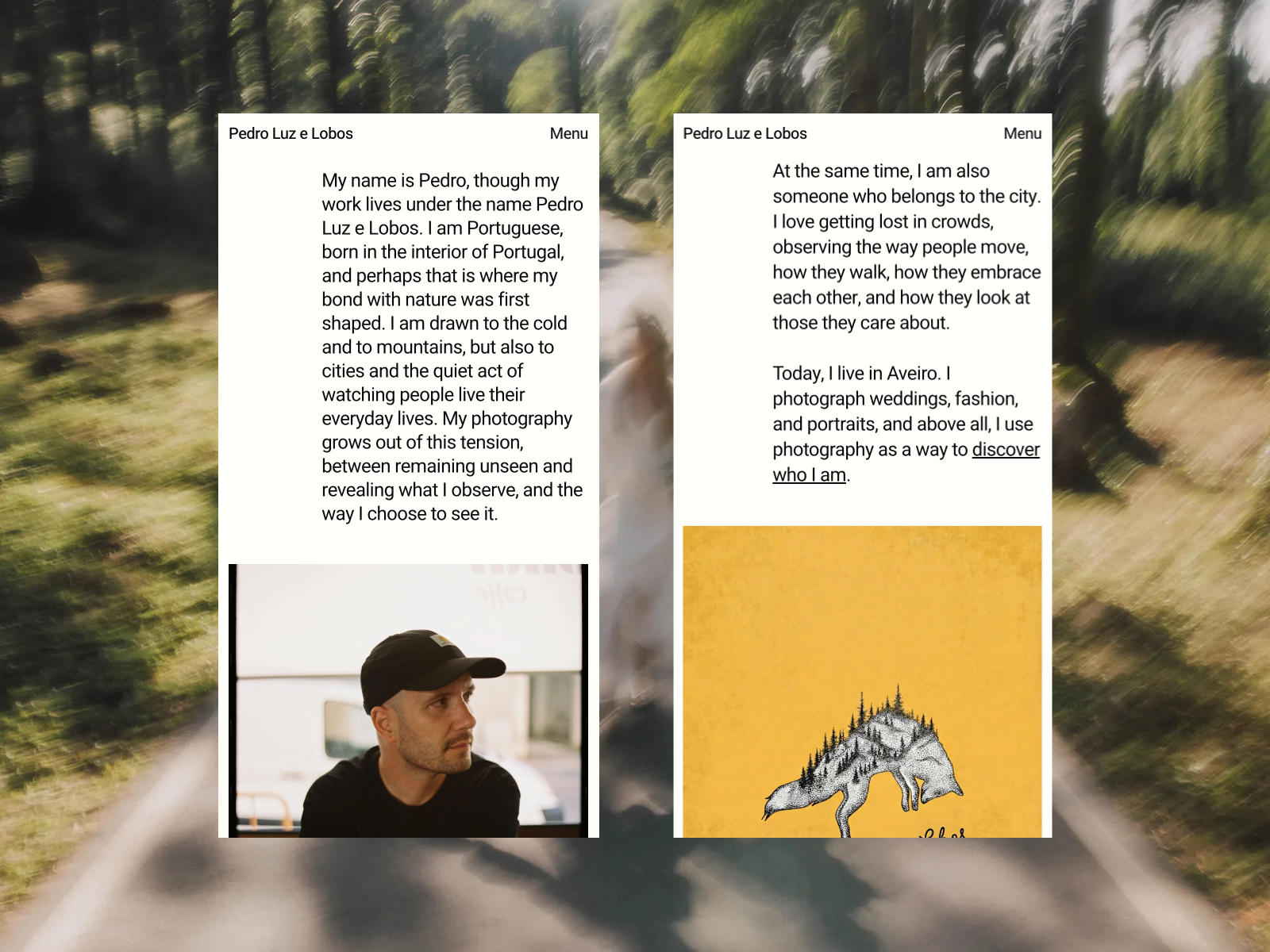 Pedro Luz e Lobos - About