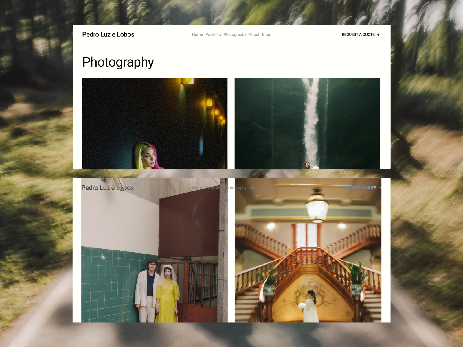 Pedro Luz e Lobos - Portfolio