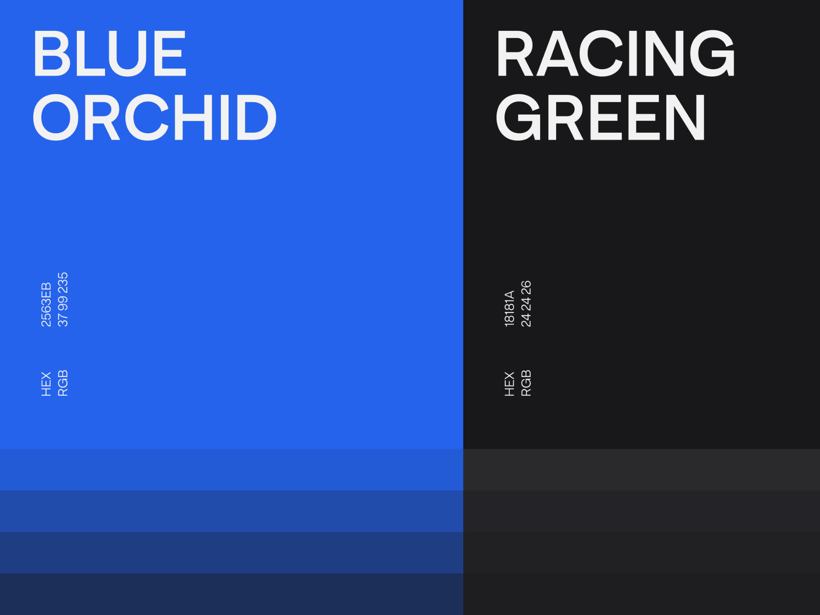 Font & Colors Scheme