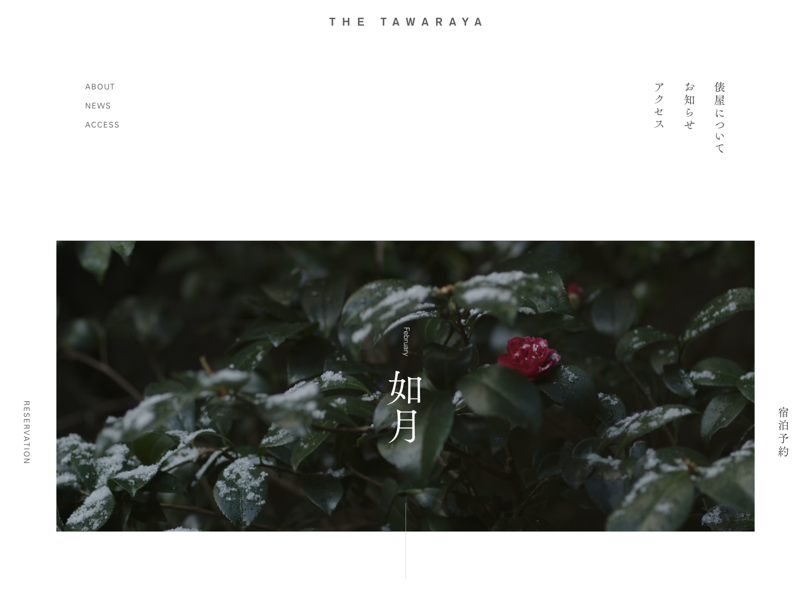 Visuals and essays that change every month