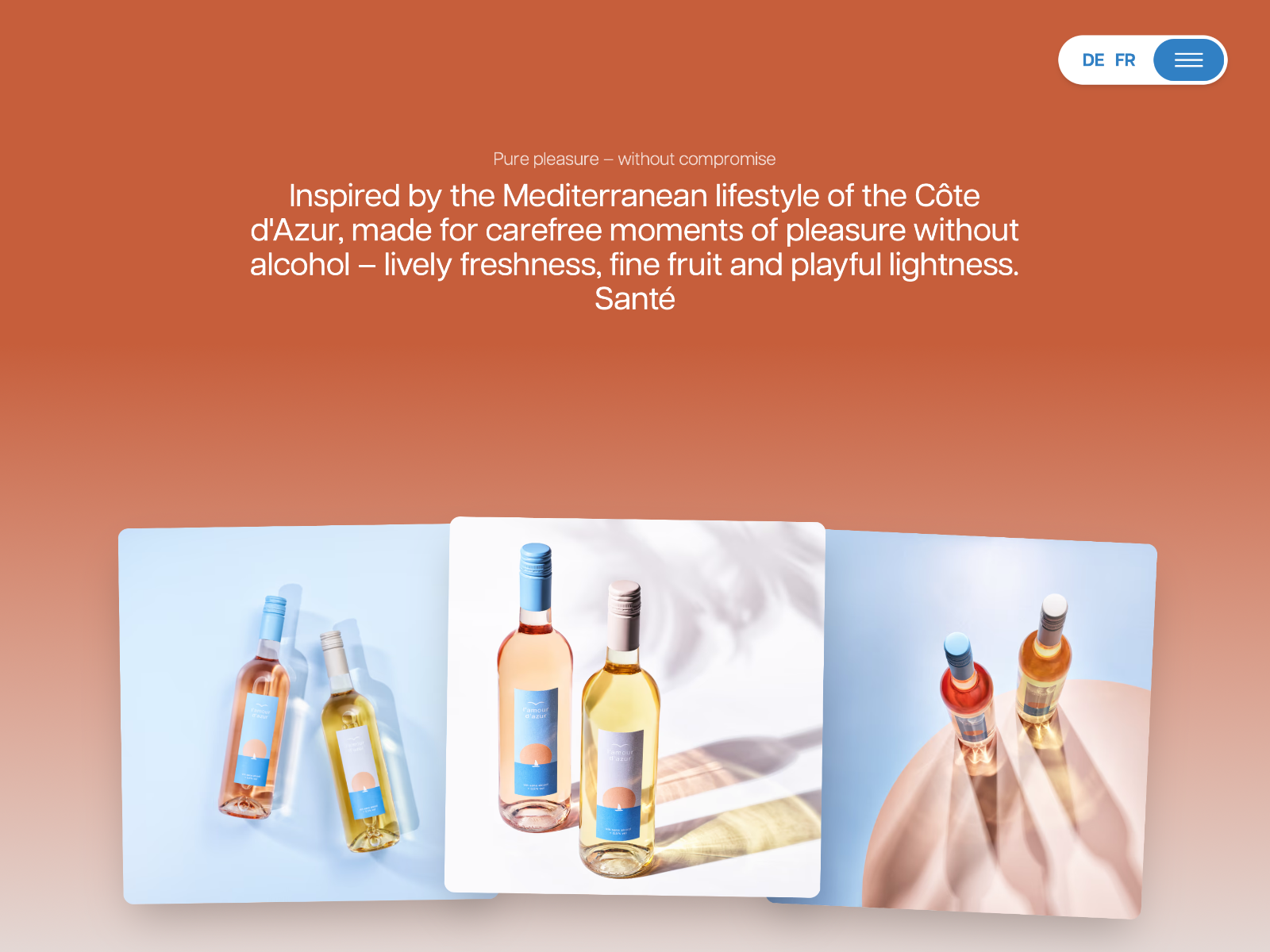 Intro section with gallery