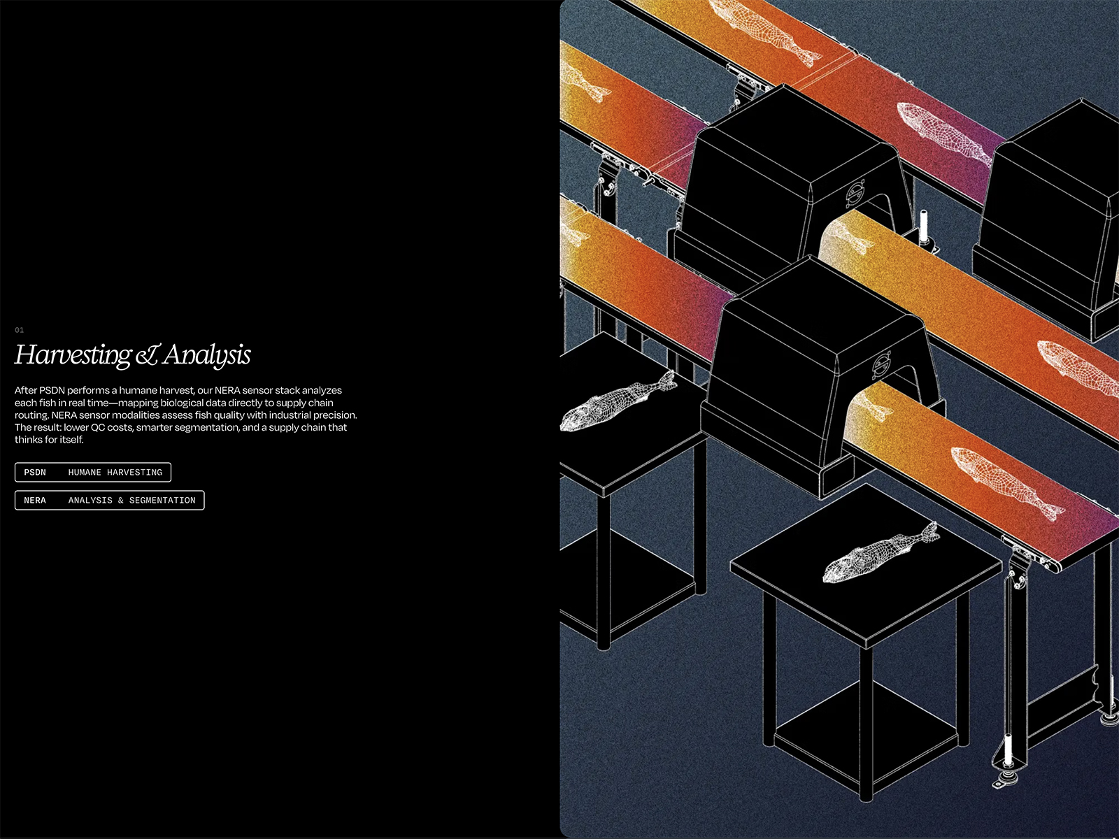 Technical Illustrations