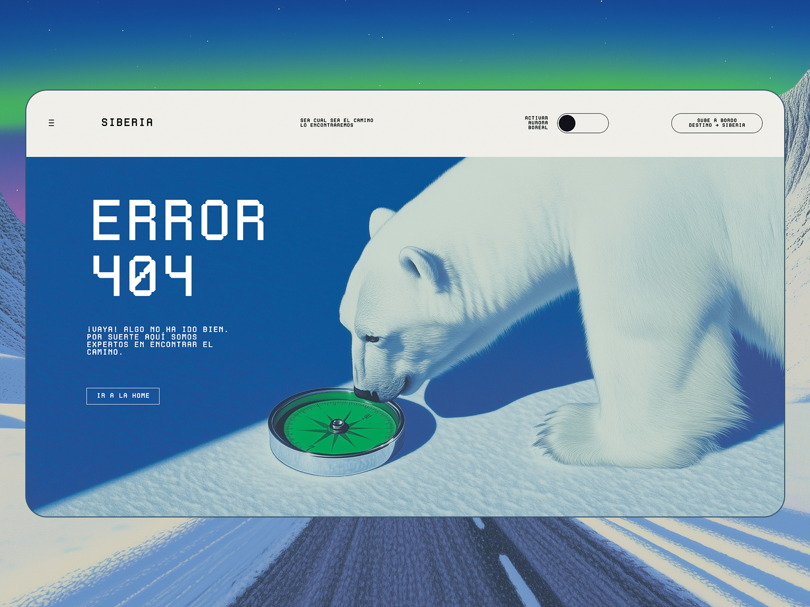 404 Page Bear