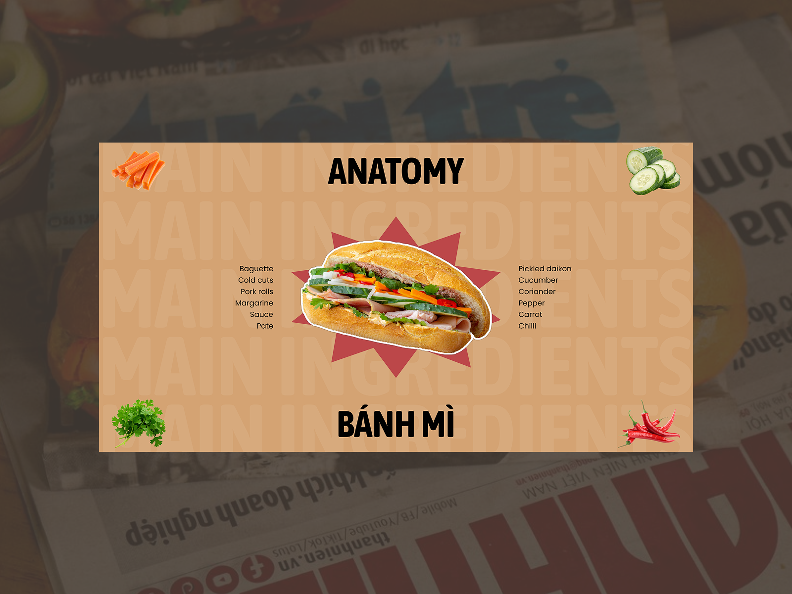 Anatomy