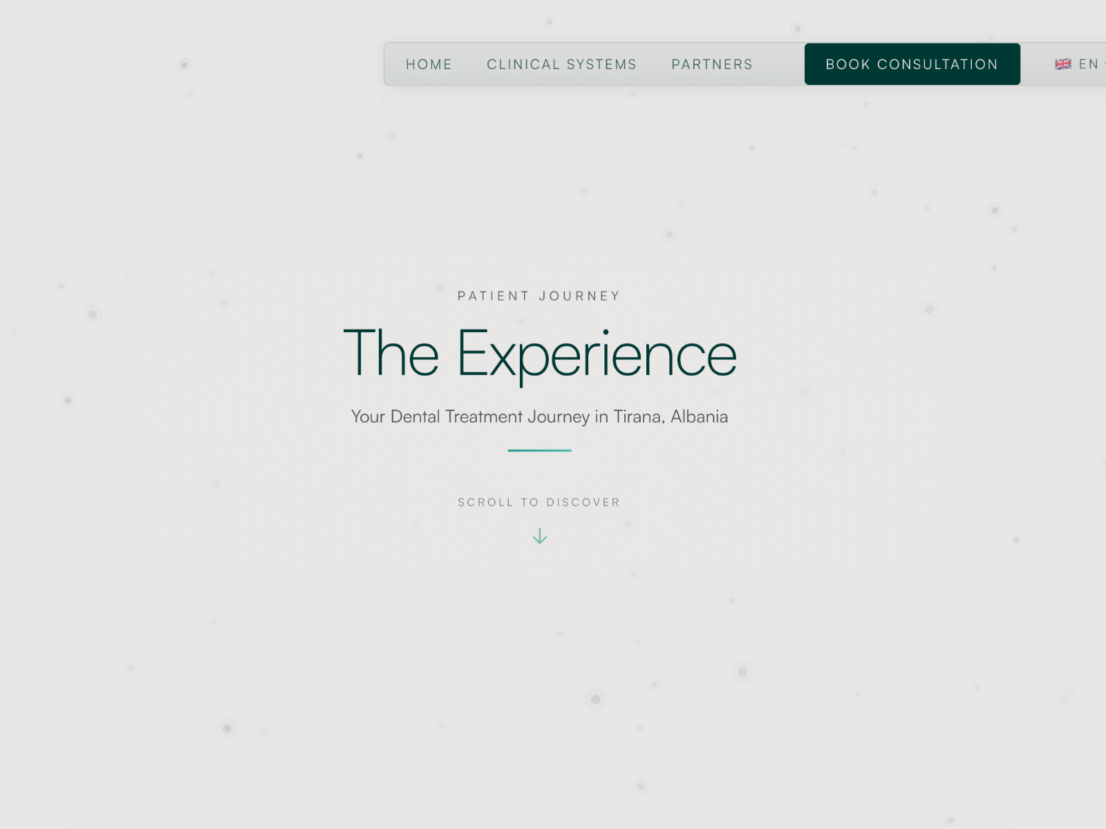 The Experience