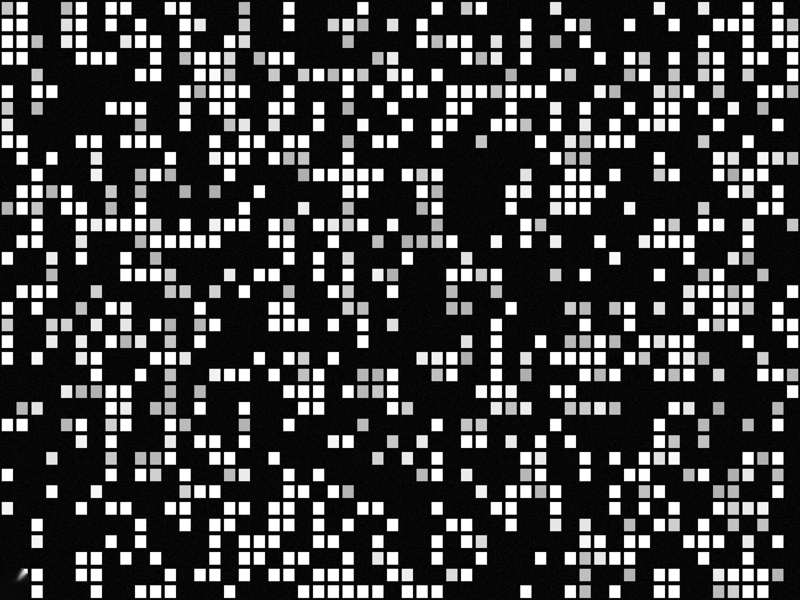 Loading Animation