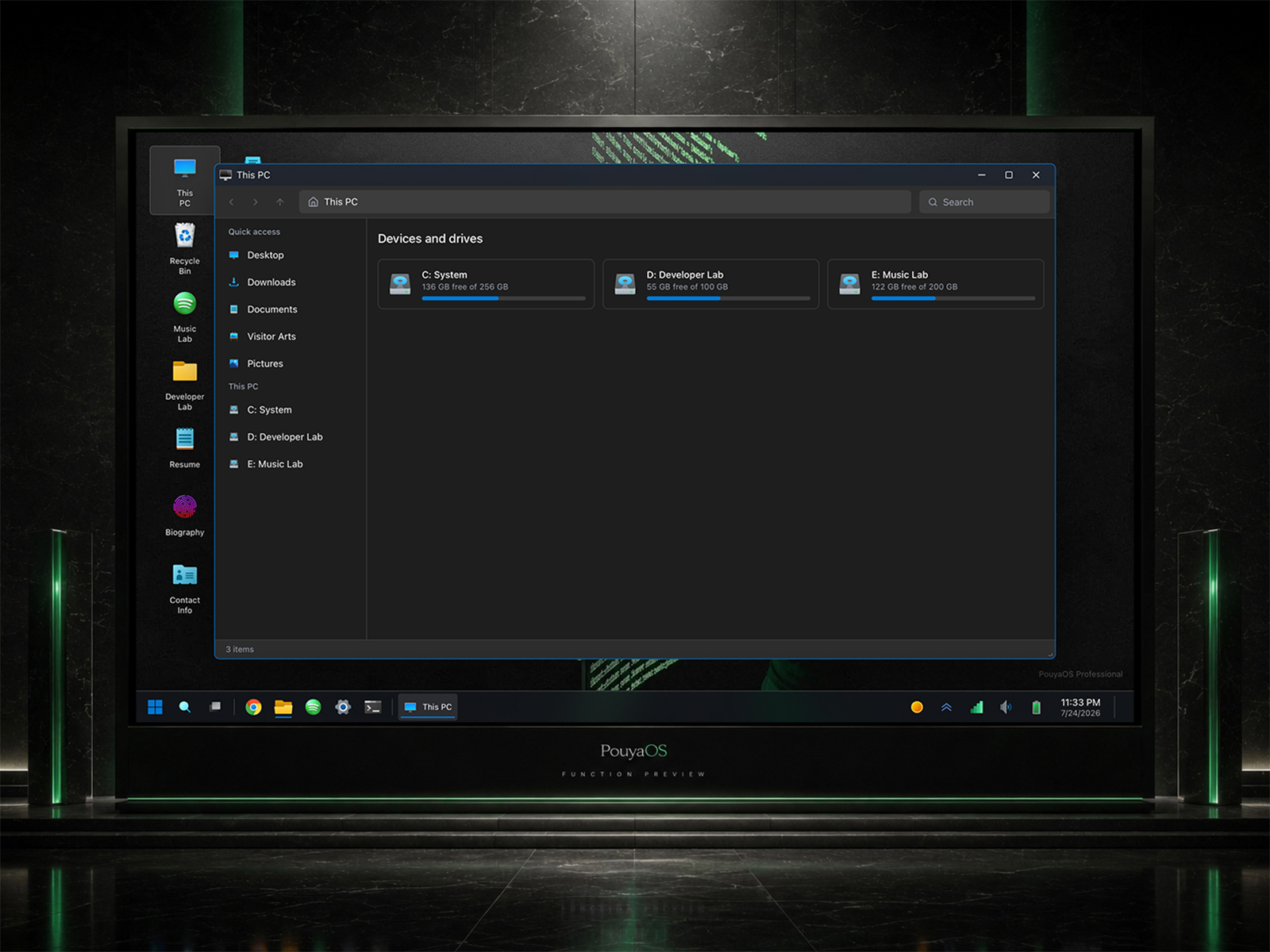 Portfolio File System
