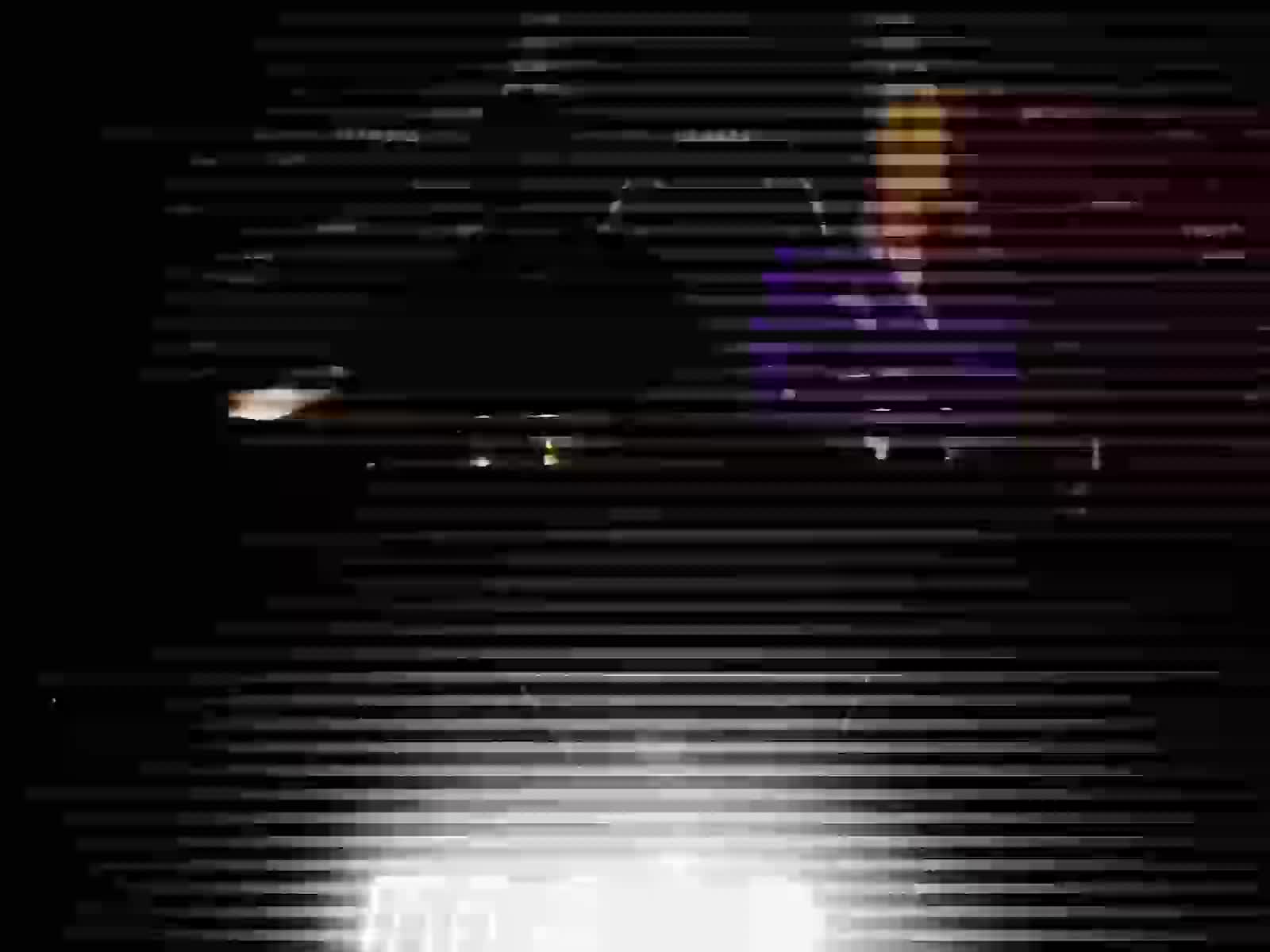 L.I.S.A. - Video content