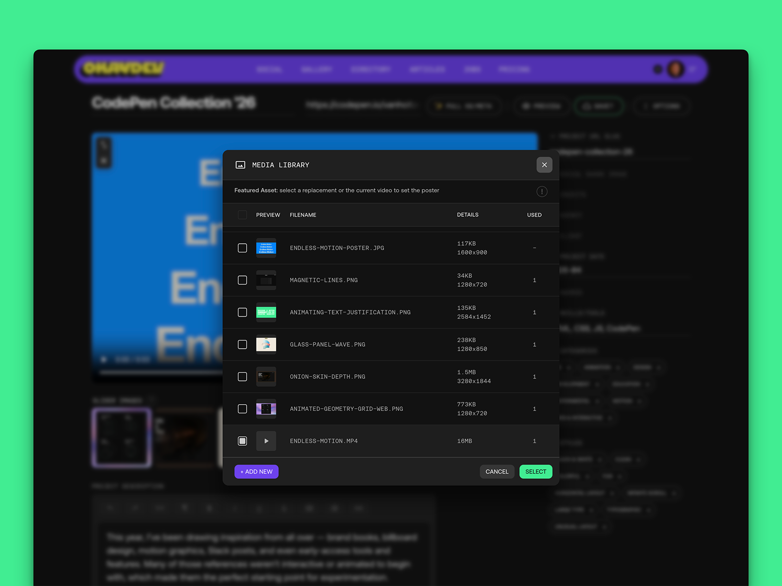 Portfolio Project Editor