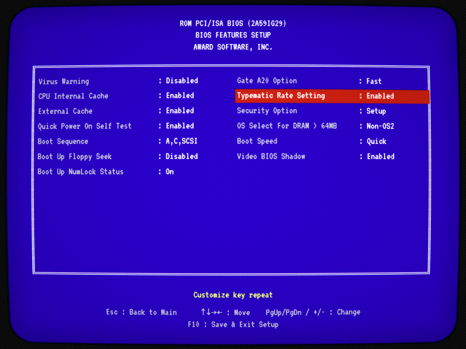 BIOS