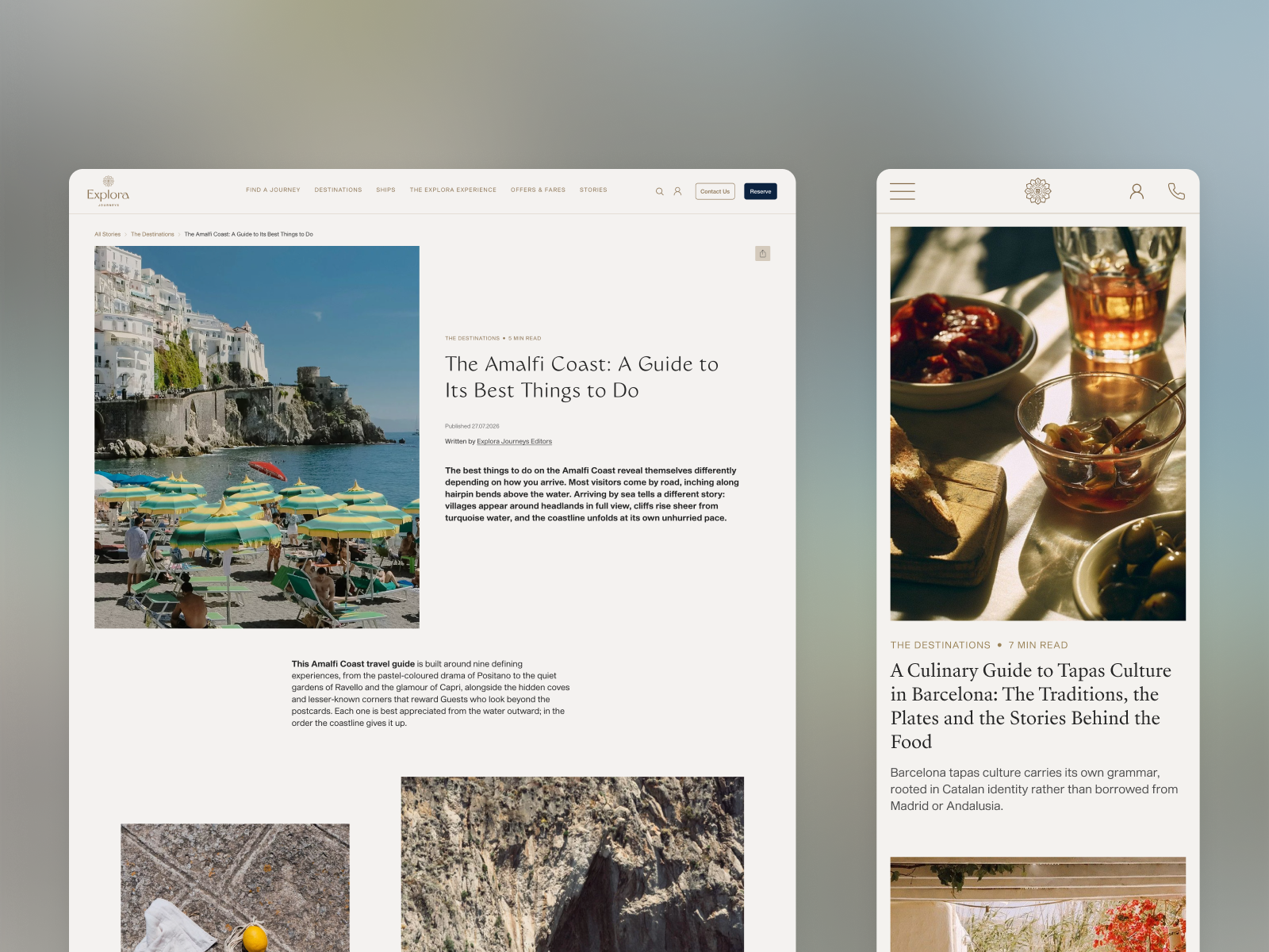 Blog Article Page