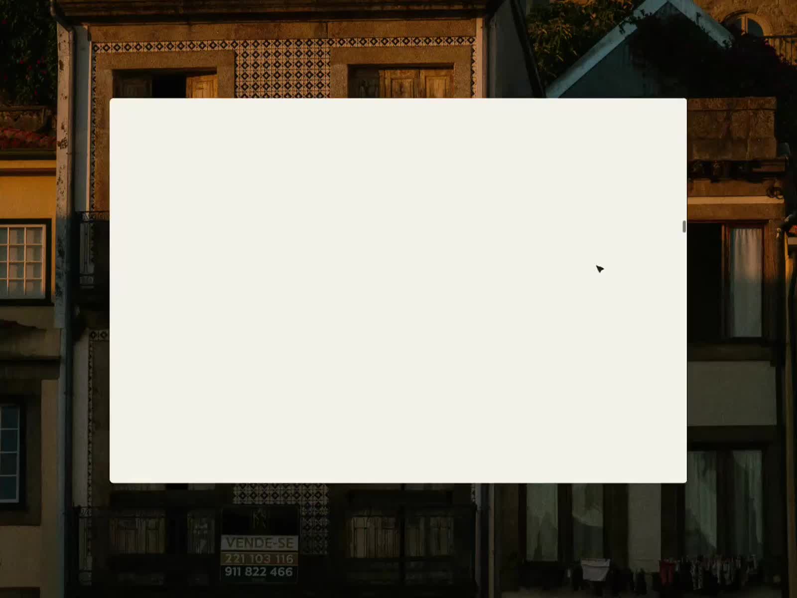 STANZZA design - Animation