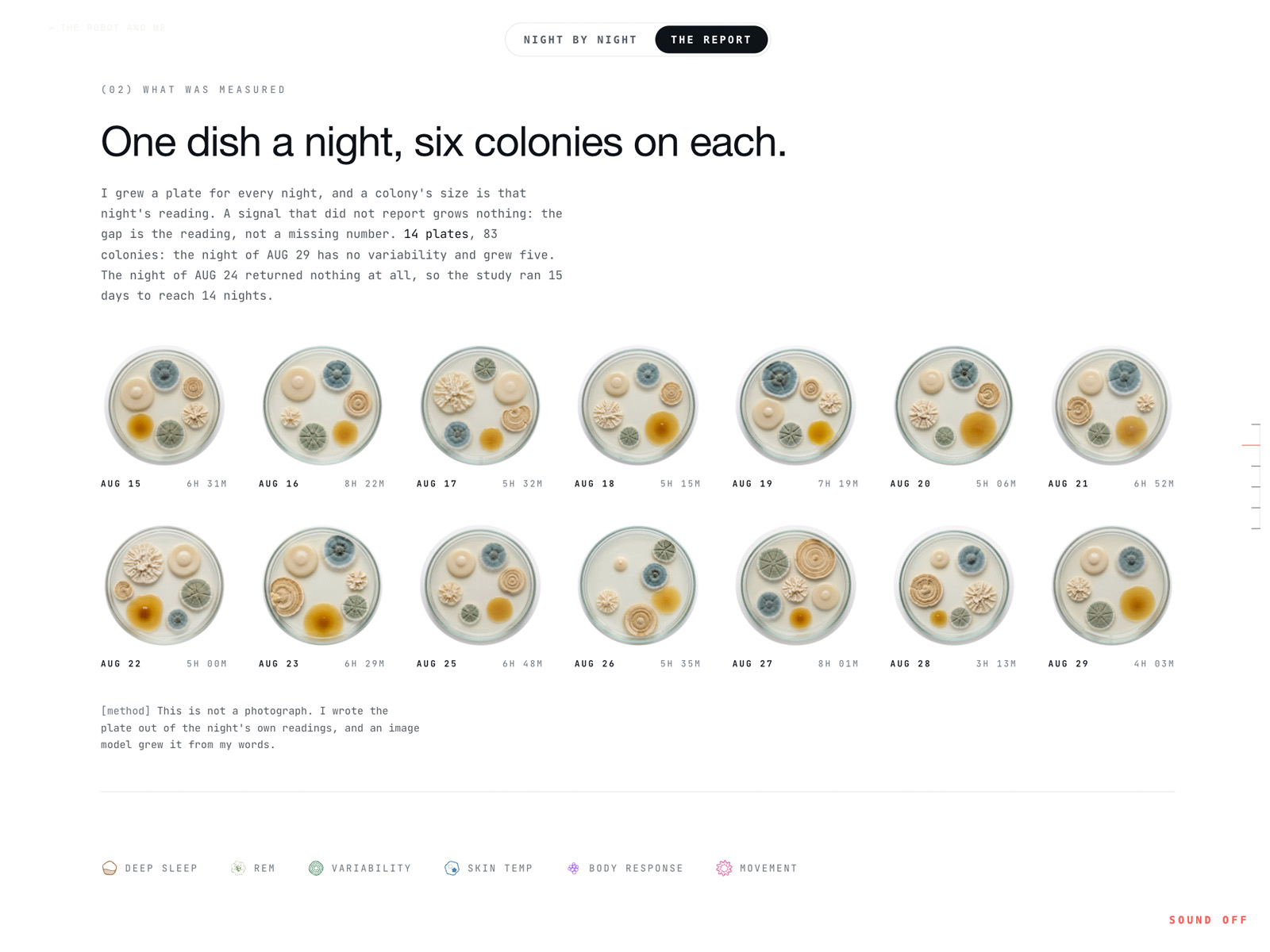 Night Colonies