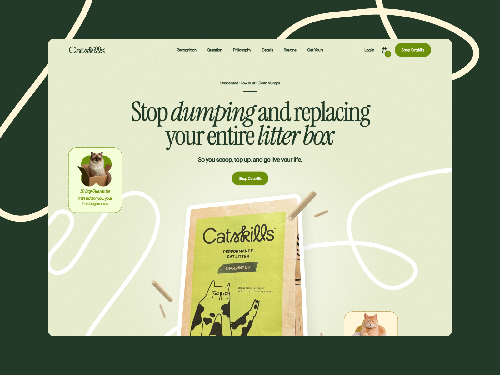Catskills Homepage Hero