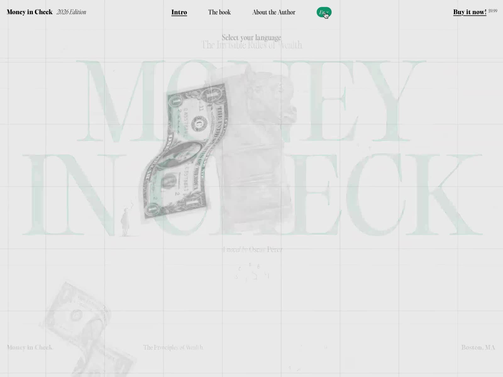 Money in Check - Language menu — Expressive typography