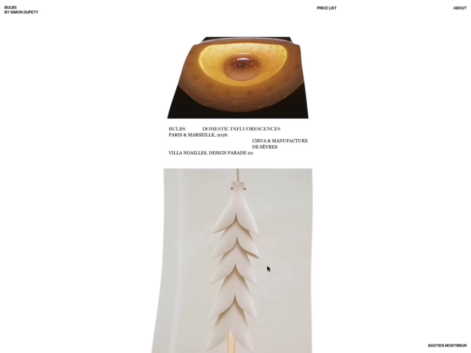Bulbs Series - Product Transition