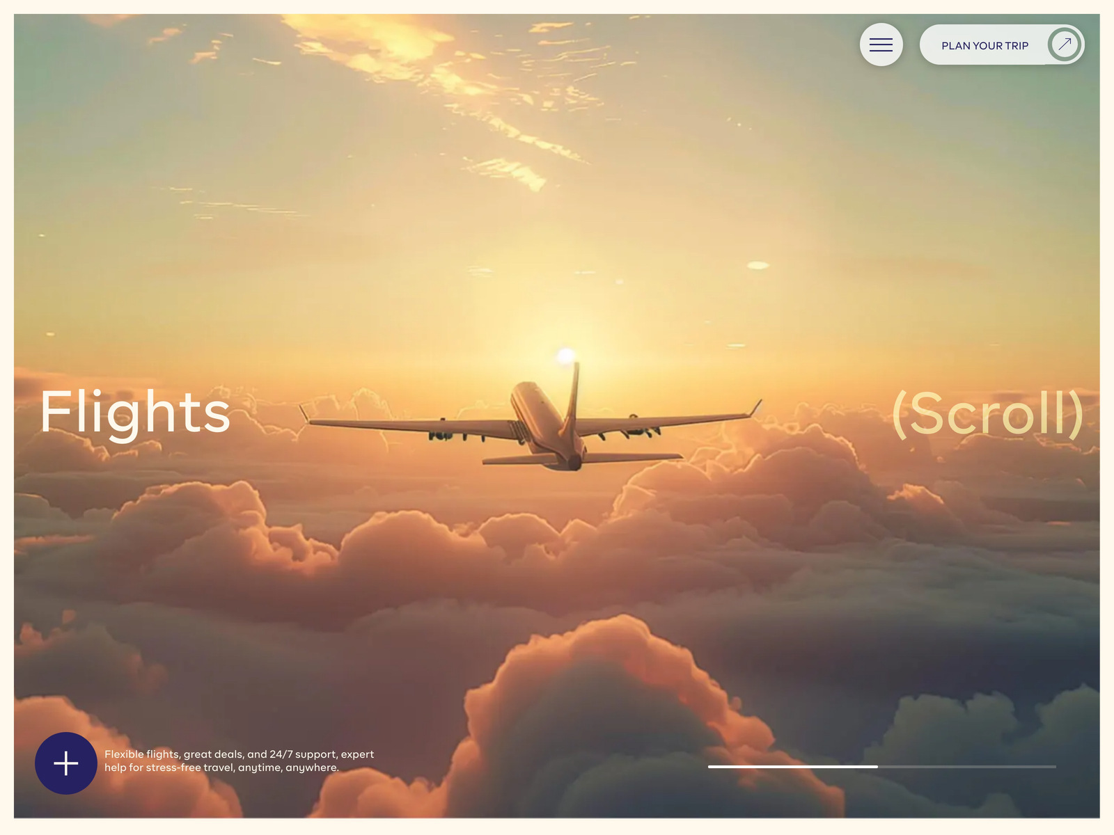 Animated Pinned Services Section