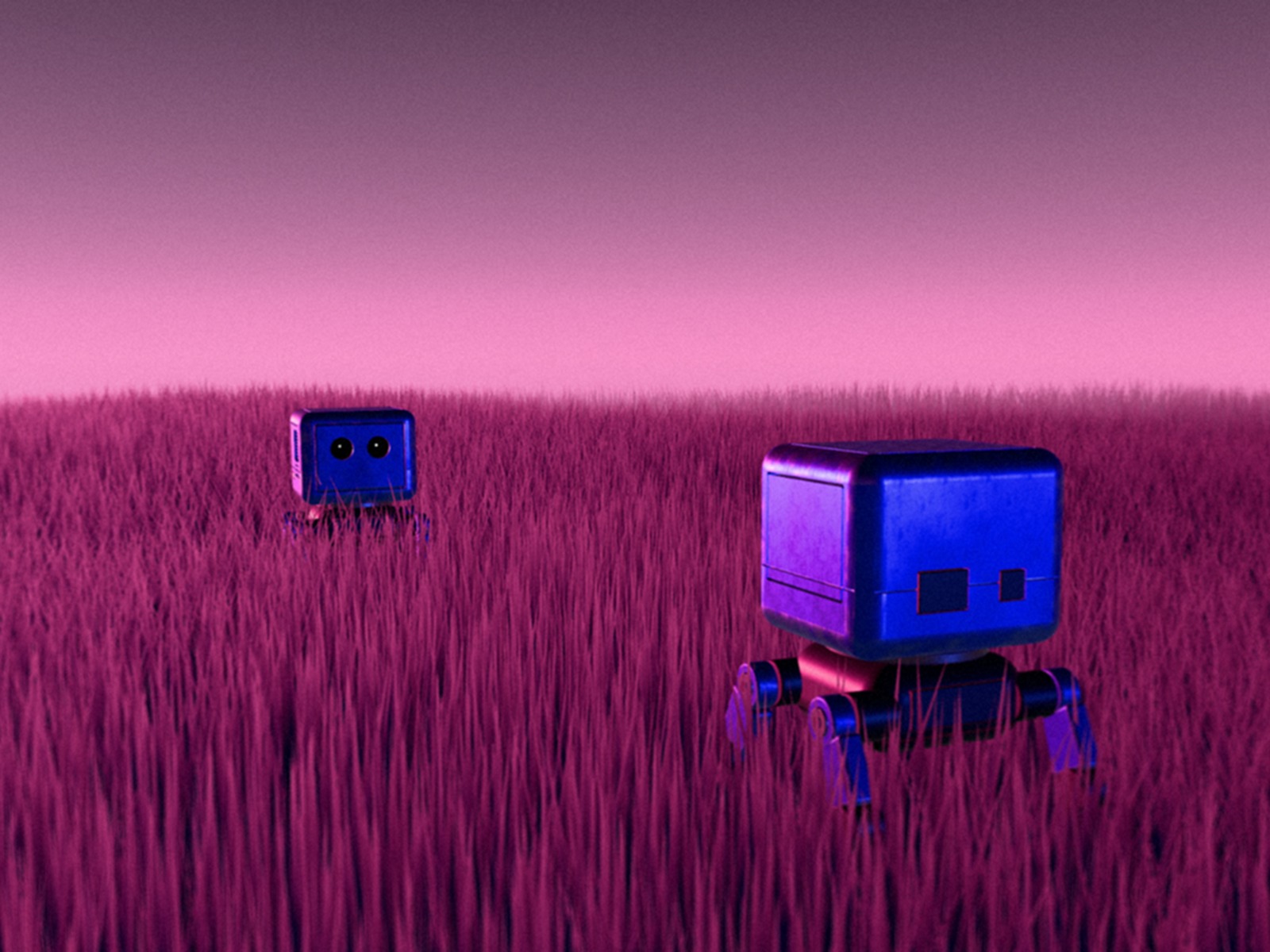 The First Meeting