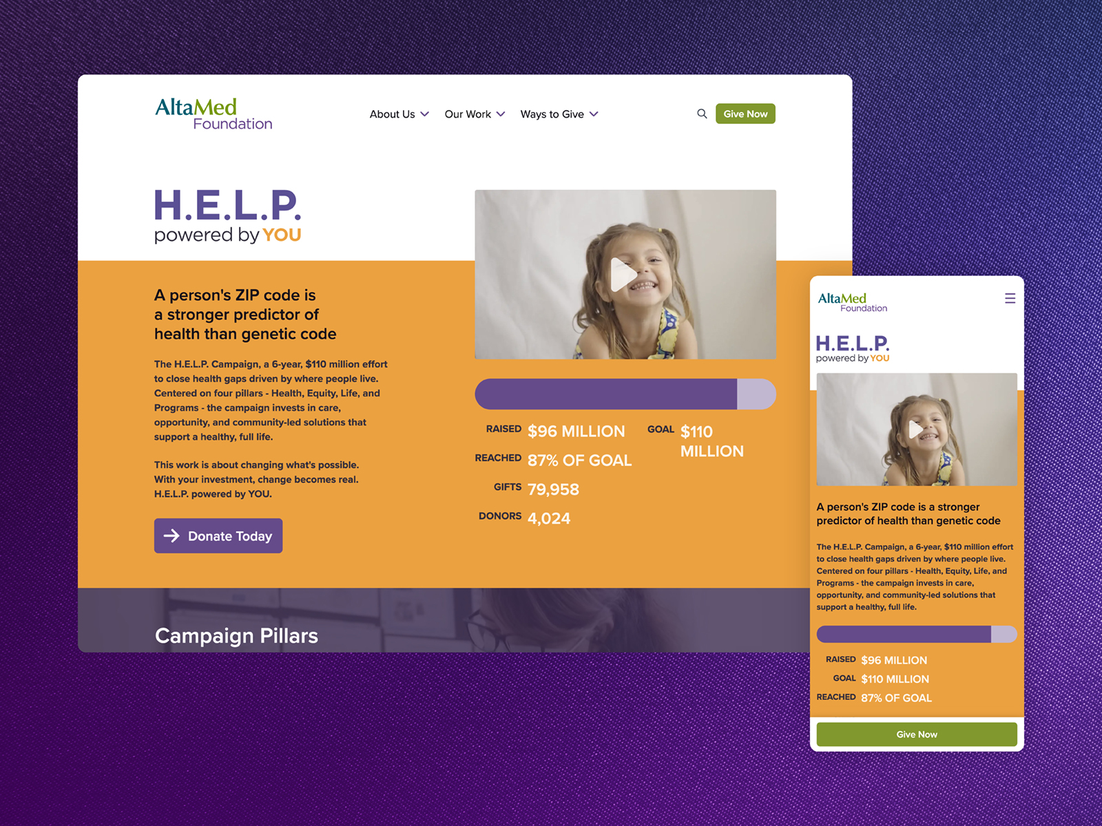 HELP Campaign Pillars
