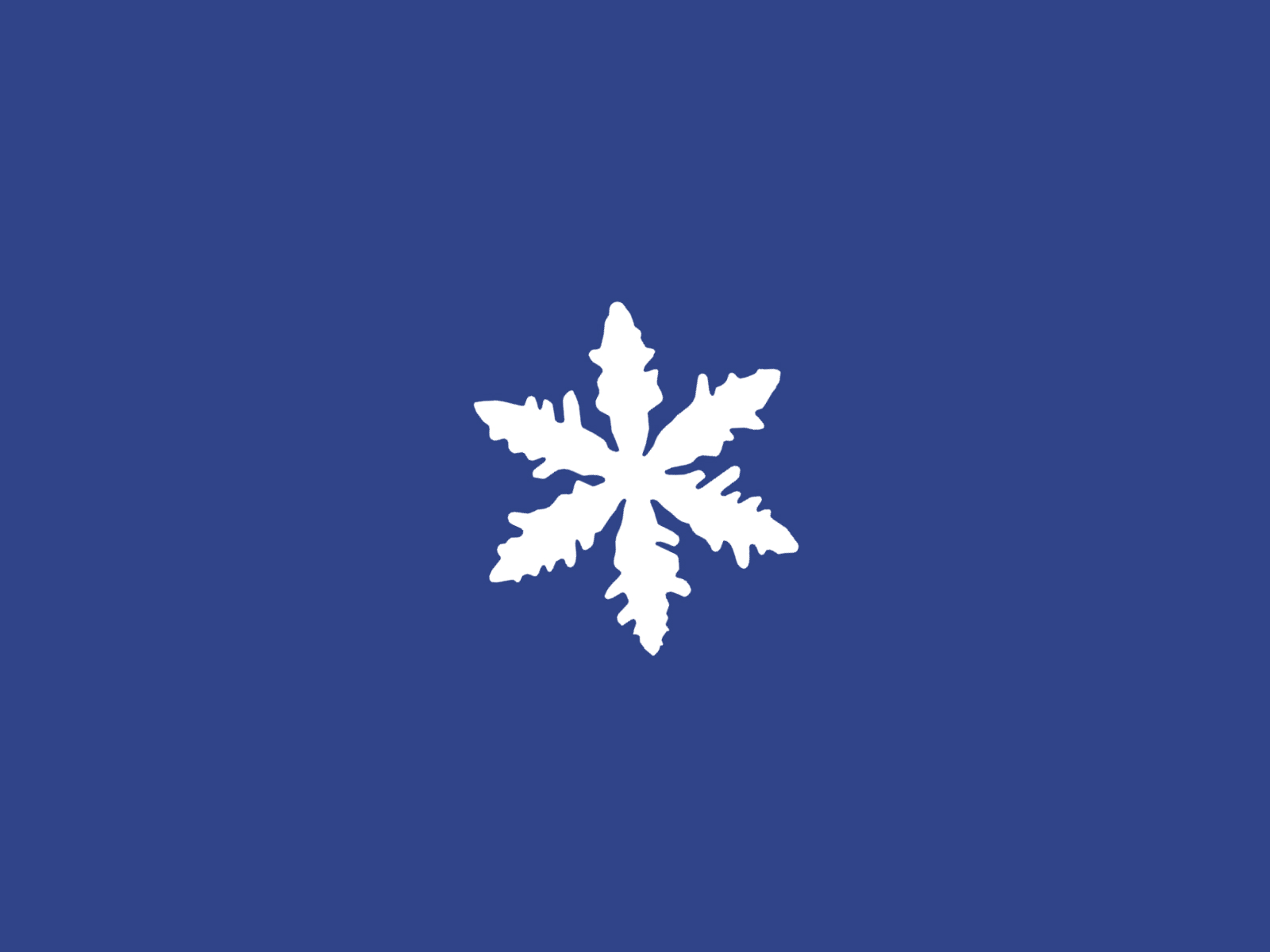 A snow crystal grows while the page loads