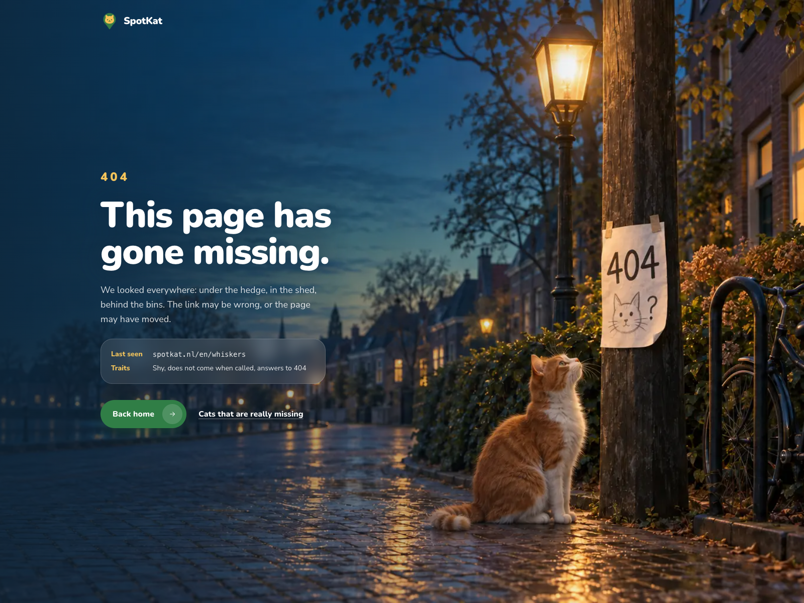 404 - Cat not found