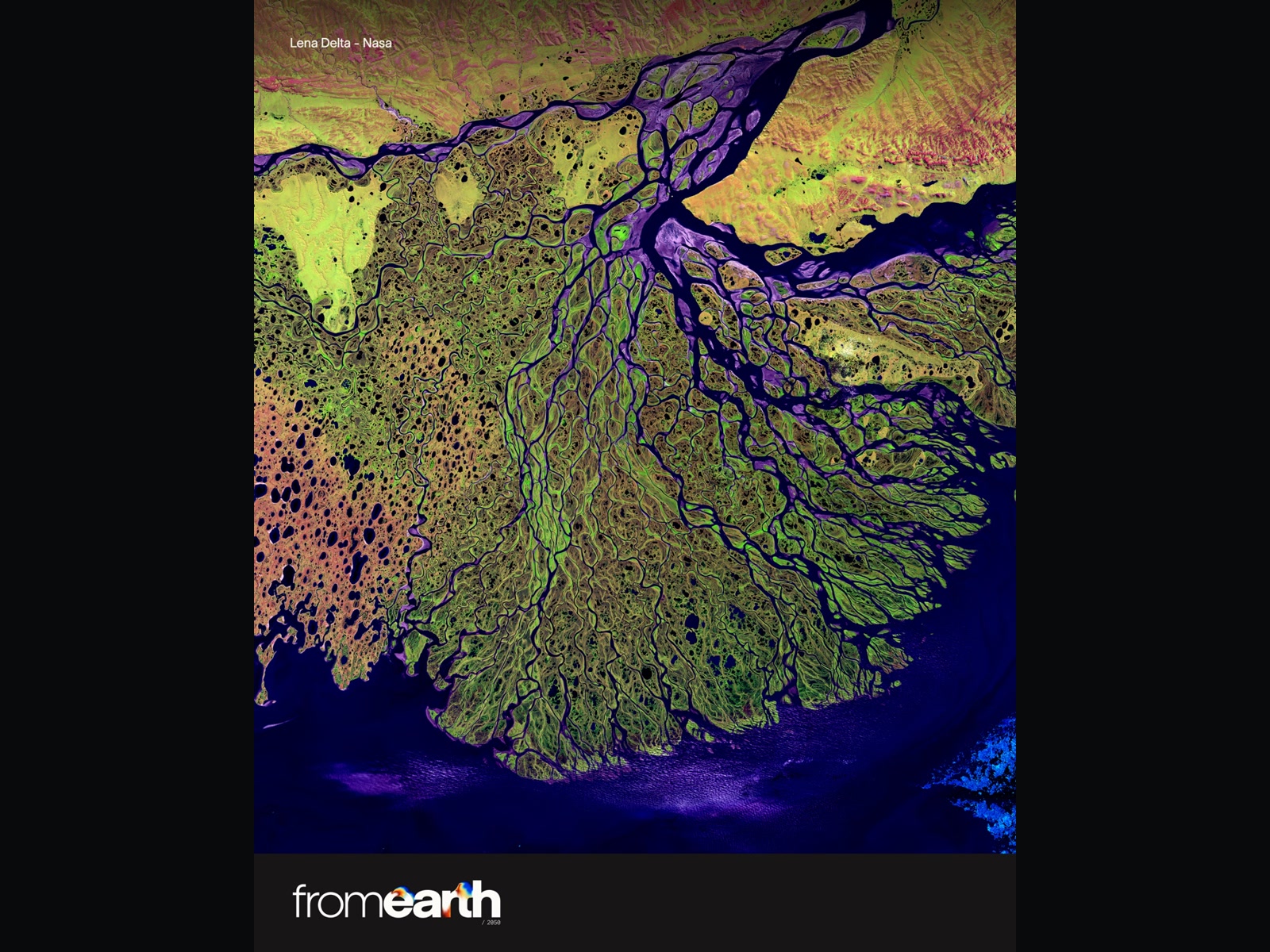 We are all from Earth — campaign posters