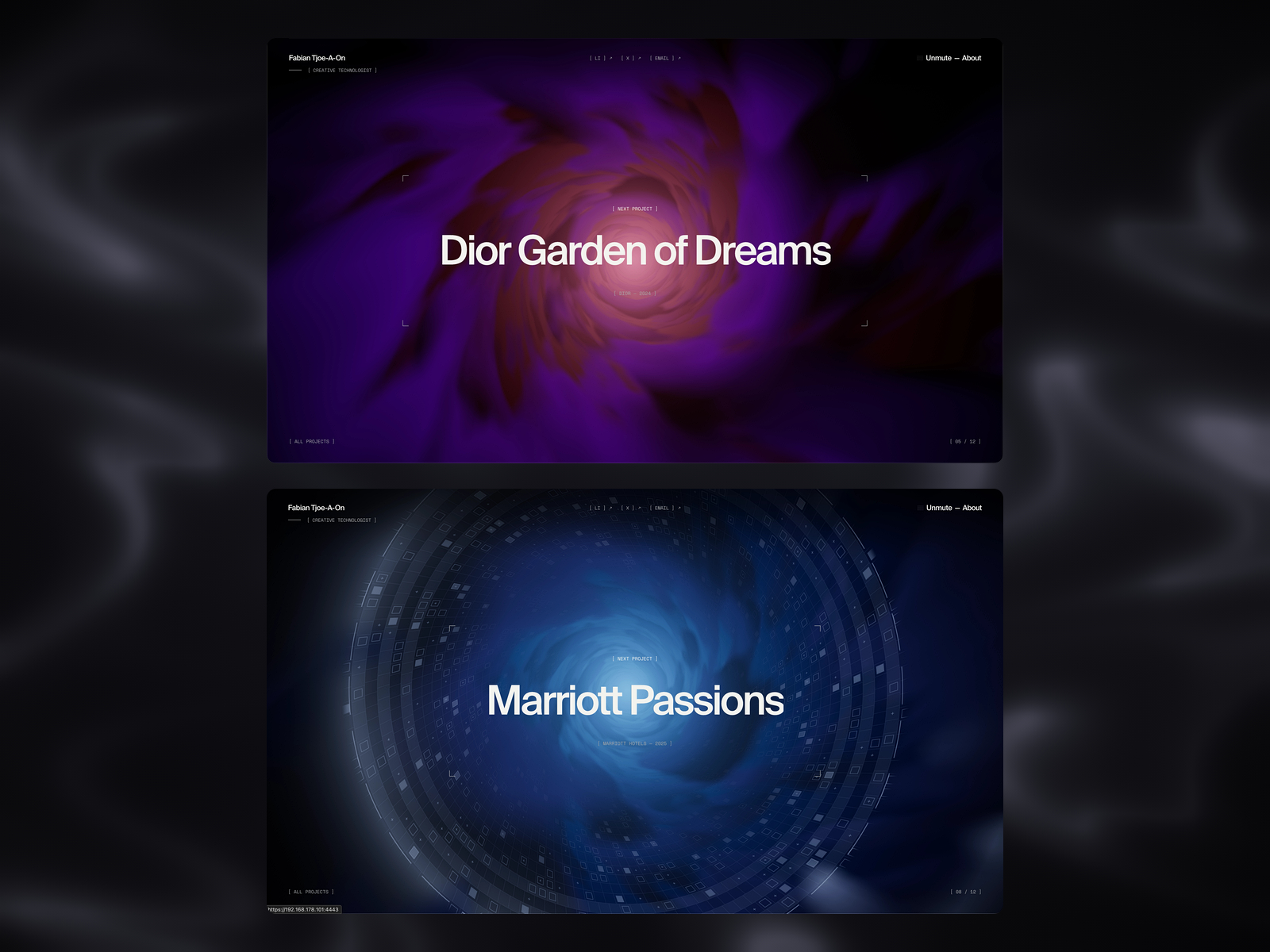 Portfolio project page