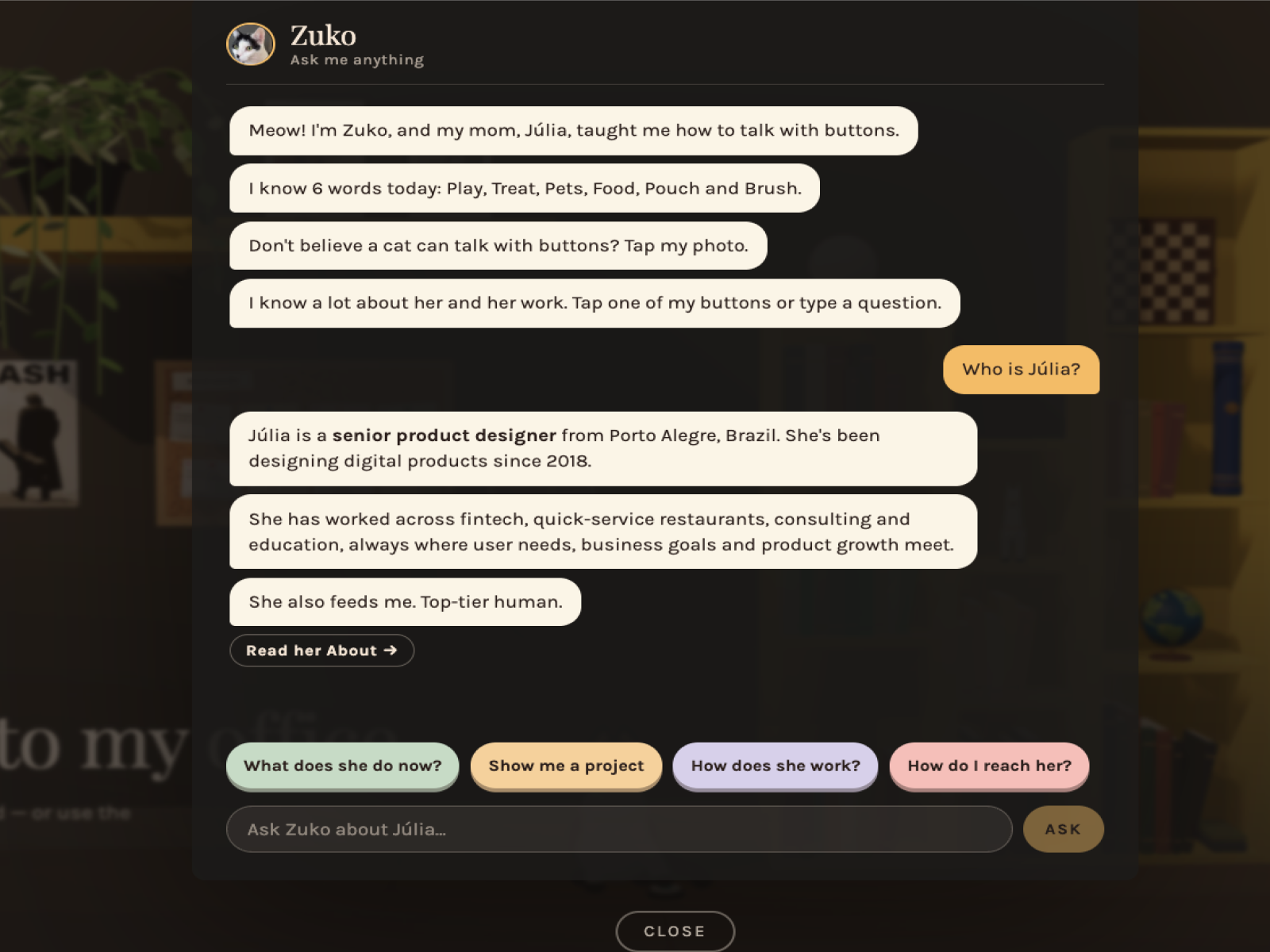Zuko, my talking cat (chat)