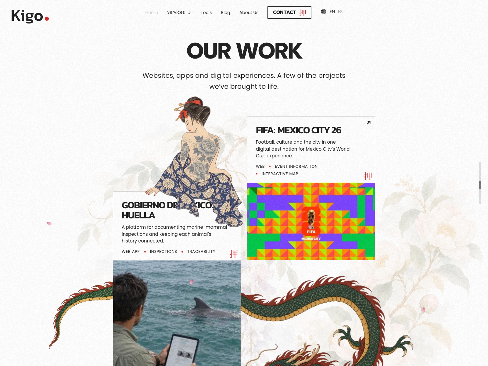 Illustrated Portfolio Gallery