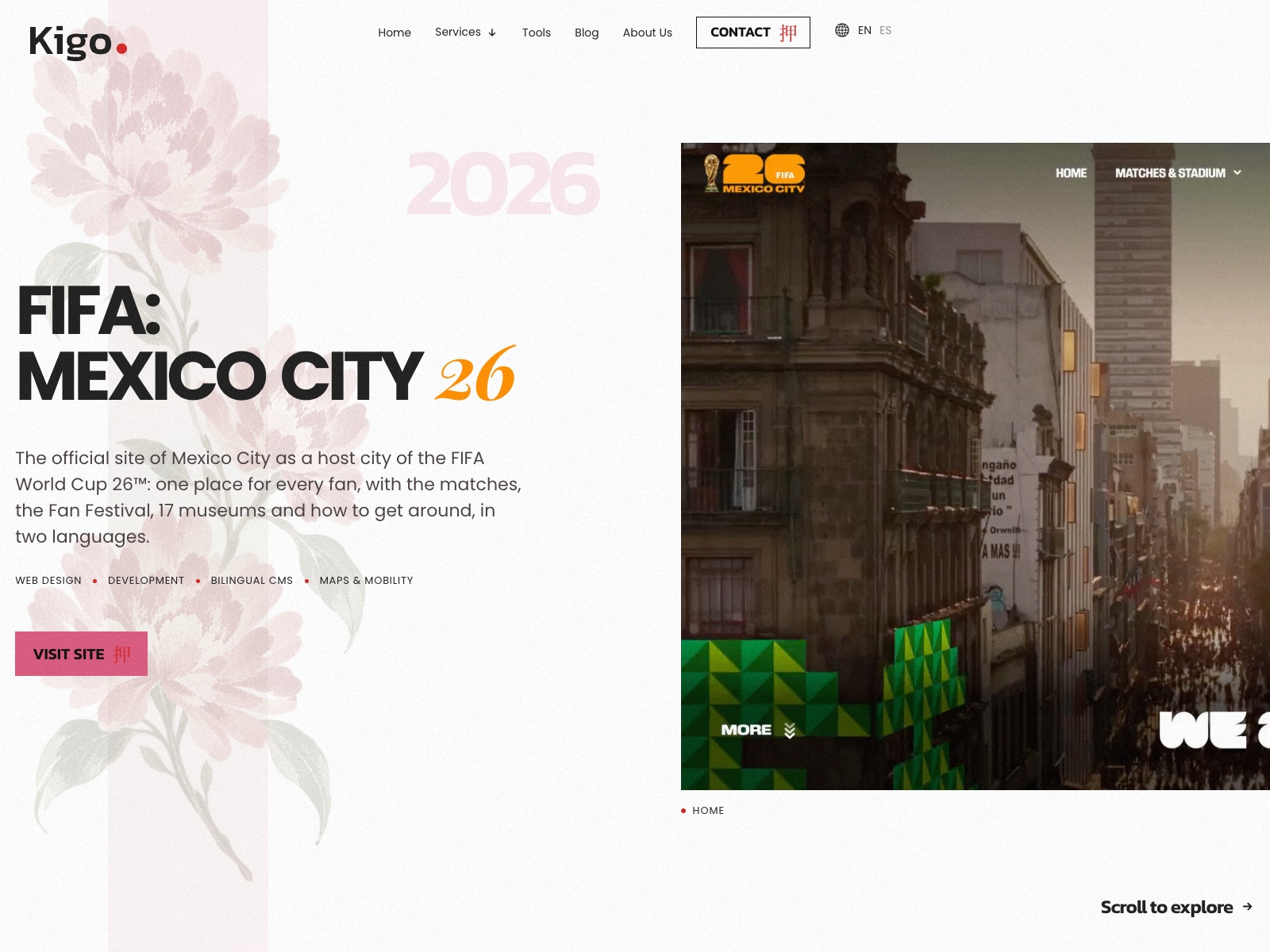Horizontal Project Storytelling