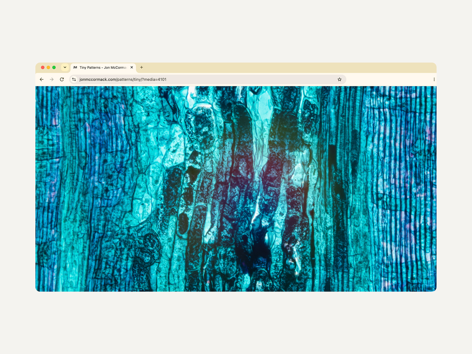 Interactive Fullscreen Photography Viewer