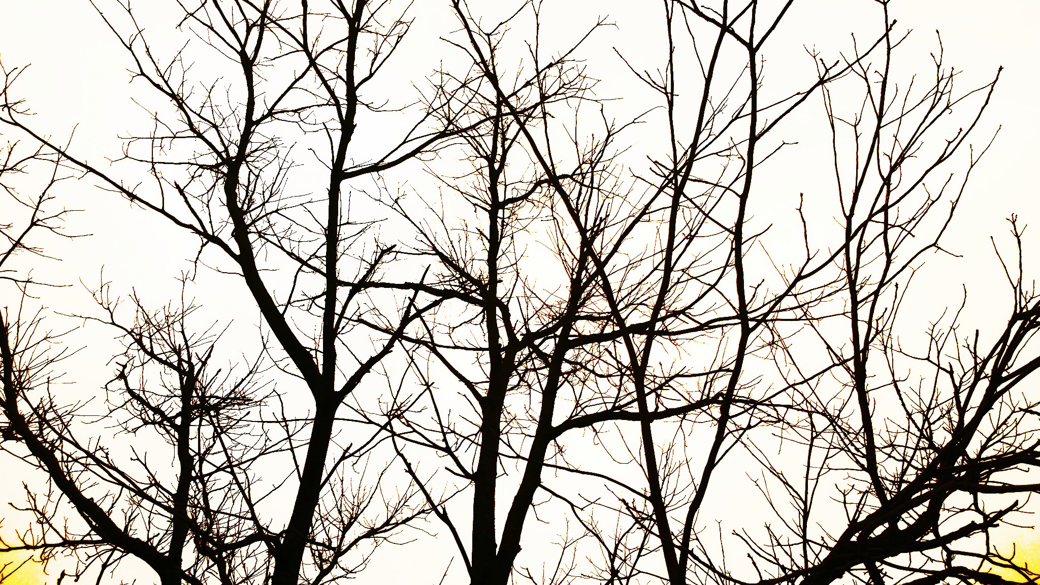 sun is near