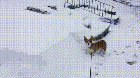 reddit: the front page of the internet