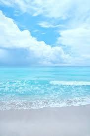 portrait image beach - Buscar con Google