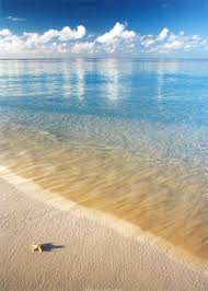 portrait image beach - Buscar con Google