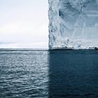 reddit: the front page of the internet