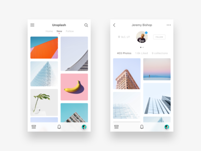 Unsplash by Daniel Klopper - Dribbble