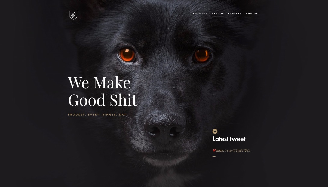 About us · Dogstudio
