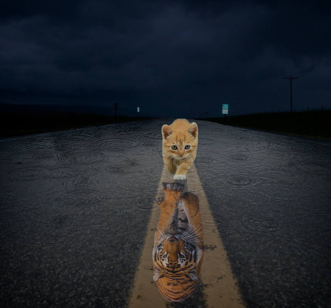 Cat_Tiger