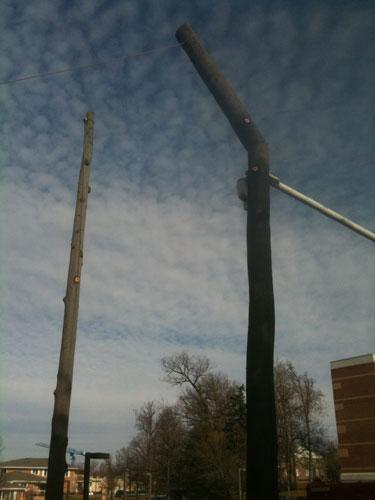 Emergency Storm Damage Tree Removal Baltimore